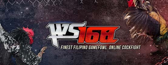 WS168
